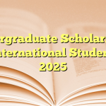 Undergraduate Scholarships for International Students in 2025